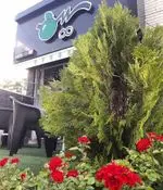 تصویر 2 - فستفود سیب