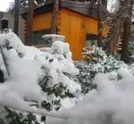 تصویر 2 - باغ رستوران بهشت پنهان