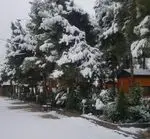 تصویر 5 - باغ رستوران بهشت پنهان