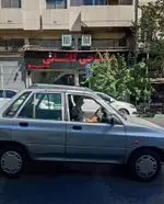 تصویر پروفایل طباخی کاشانی