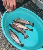 تصویر 2 - رستوران هانی مطهری