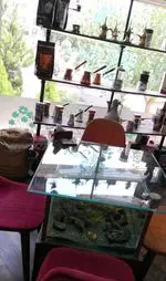 تصویر پروفایل کافه چوب سبز