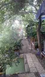 تصویر 1 - جگرسرا و باغچه خانوادگی پونه