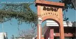 تصویر 3 - رستوران کترینگ مام بیگی 