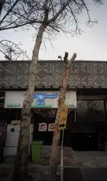 تصویر 1 - پیتزا سیب ۳۶۰