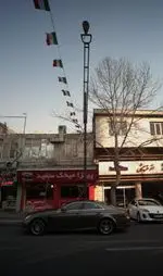 تصویر 2 - پیتزا میخک سفید