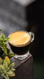 تصویر 2 - کافه گریل ببک