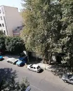 تصویر پروفایل فلافل کیلویی میخکوب