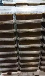 تصویر 2 - تهیه غذای شرکتی پارسی آنیسا شعبه یادگار