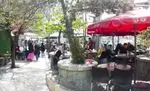 تصویر پروفایل توچال کباب