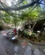 تصویر 4 - کافه پستو