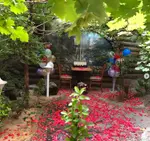 تصویر 2 - کافه پستو