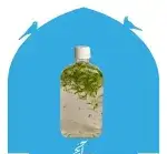 تصویر 3 - رستوران روحی (کریم خان)