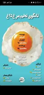 تصویر 2 - کافه خانه میرا