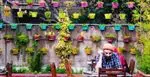 تصویر 2 - رد کافه Rad Cafe