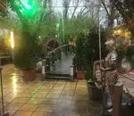 تصویر 1 - کافی شاپ باغ نور