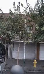 تصویر 1 - آبمیوه بستنی تمشک