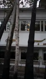 تصویر 2 - رستوران نایب زعفرانیه