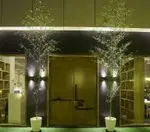 تصویر 4 - رستوران ماهی سفید