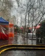 تصویر 5 - باغچه‌ خانوادگی آبشار