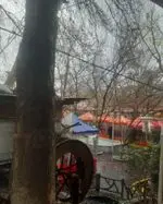 تصویر پروفایل باغچه‌ خانوادگی آبشار