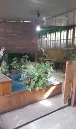 تصویر 2 - باغ گیلاس