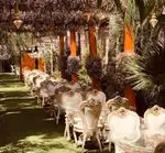 تصویر 4 - رستوران وی آی پی کاظمی