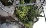 تصویر 2 - باغچه رستوران ونوس شهران