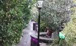 تصویر پروفایل باغچه رستوران ونوس شهران