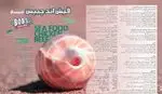 تصویر 3 - فلافلی پفیل