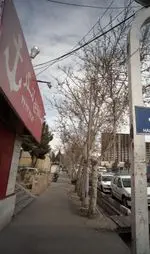 تصویر پروفایل ساندویچی لنگر