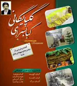 تصویر 1 - کبابسرای سید حسن گلپایگانی