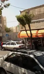 تصویر 1 - شیرینی سرای شاخه نبات