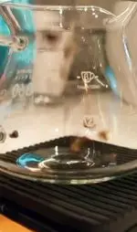 تصویر 3 - کافه لوما