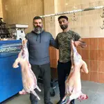 تصویر 4 - نان+ جگر+ موتور 1000
