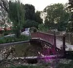 تصویر 3 - رستوران باغ گلستان