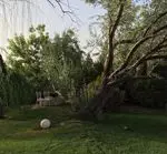 تصویر 4 - رستوران باغ گلستان