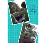 تصویر 5 - رستوران باغ گلستان