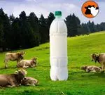 تصویر 3 - لبنیات سنتی دهکده