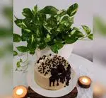تصویر 4 - کیک خانگی ساکورا