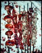 تصویر پروفایل قصر جگر بره طلایی