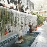 تصویر 1 - باغ رستوران کلبه