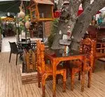 تصویر 3 - باغ ایرو