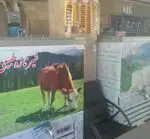 تصویر 2 - لبنیات سنتی سبلان