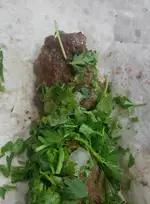 تصویر 3 - رضا لقمه