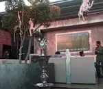 تصویر 2 - کافی شاپ بلومارلین 