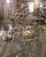 تصویر پروفایل خانه فاموری