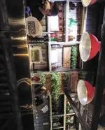 تصویر پروفایل رستوران  د ل پ