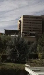 تصویر 2 - رستوران ارکیده طلایی