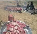 تصویر 4 - جگرسرای وحید